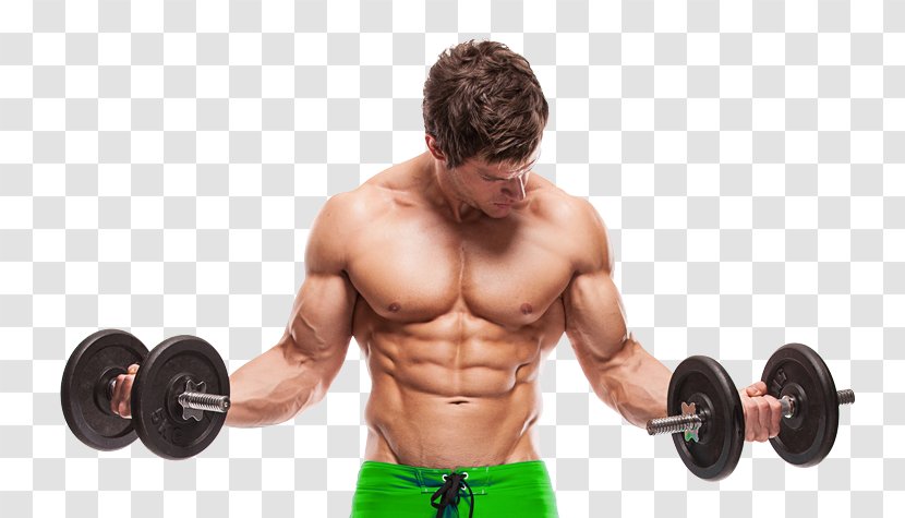 Stock Photography Weight Training Exercise Muscle Bodybuilding - Silhouette - Ripped Arms Transparent PNG