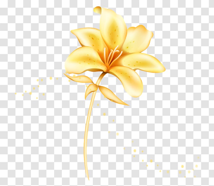 Flower Euclidean Vector Lilium - Gold - Golden Flowers Transparent PNG