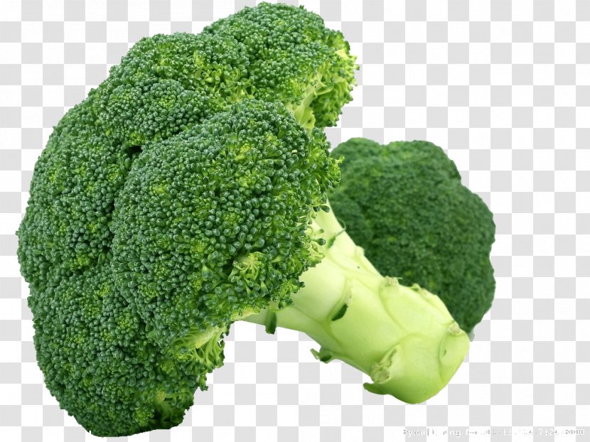 Broccoli Cauliflower Cabbage Vegetable Brussels Sprout - Fresh Fruits And Vegetables,broccoli Transparent PNG