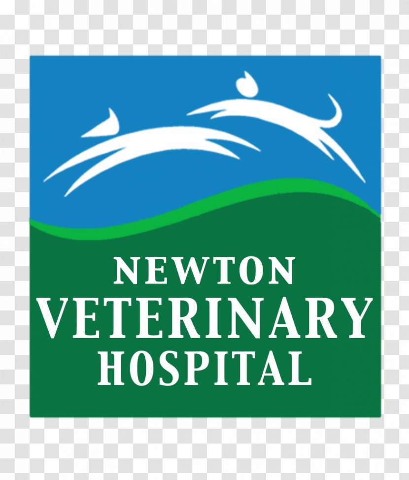 Newton Veterinary Hospital Cat Veterinarian Clinique Vétérinaire Transparent PNG