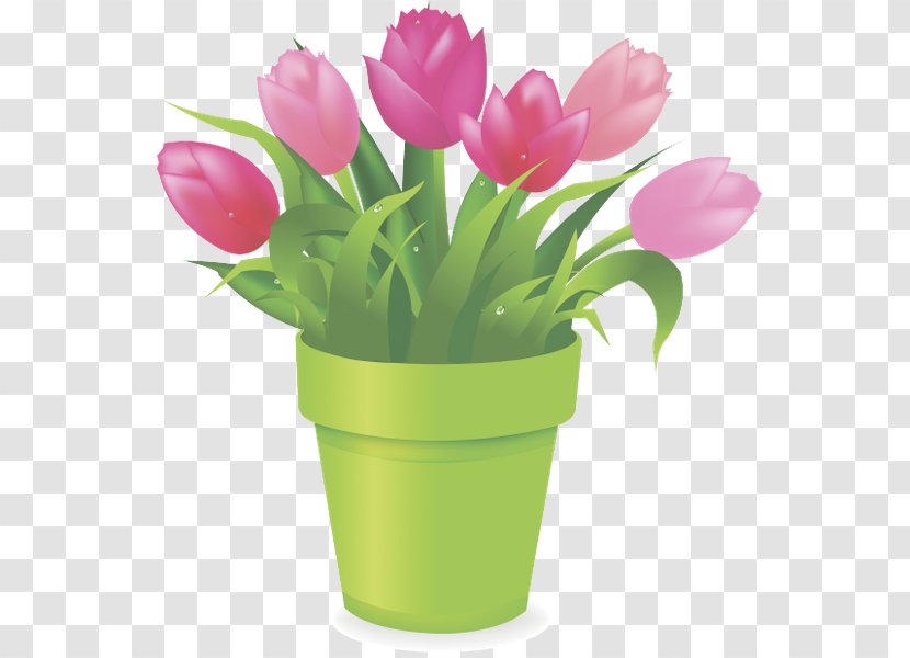 Tulip Flowerpot Stock Photography Clip Art - Vase Transparent PNG
