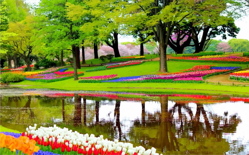 Keukenhof The Most Beautiful Gardens In World Flower Garden Beauty - Potting Soil - Green Cliparts Transparent PNG