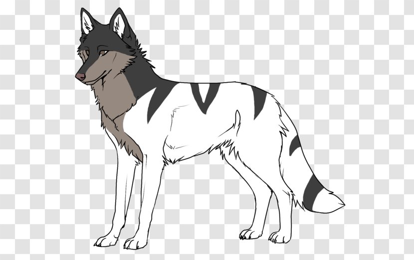 Czechoslovakian Wolfdog Saarloos Seppala Siberian Sleddog Dog Breed Husky - Rollin Like A Redneck Transparent PNG