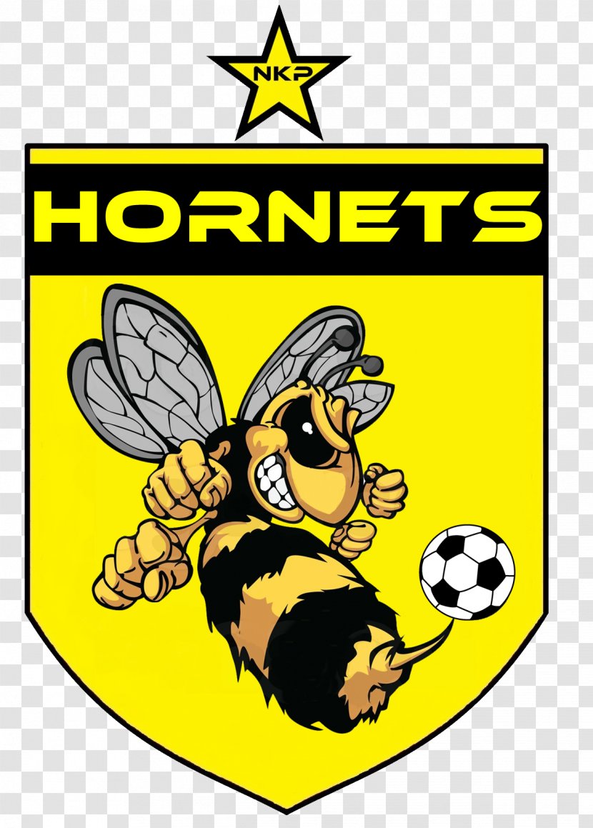 Bee Hornet Sticker Rugby Pest Control Clip Art - Insect Transparent PNG