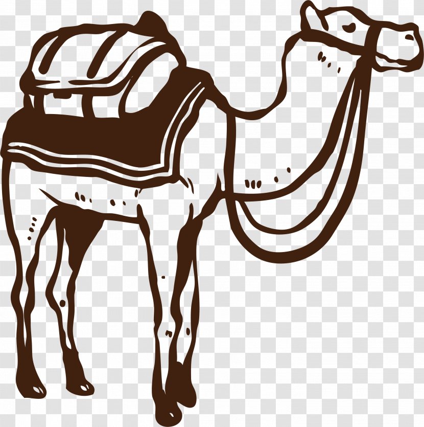 Camel Desert - Bridle - In The Transparent PNG