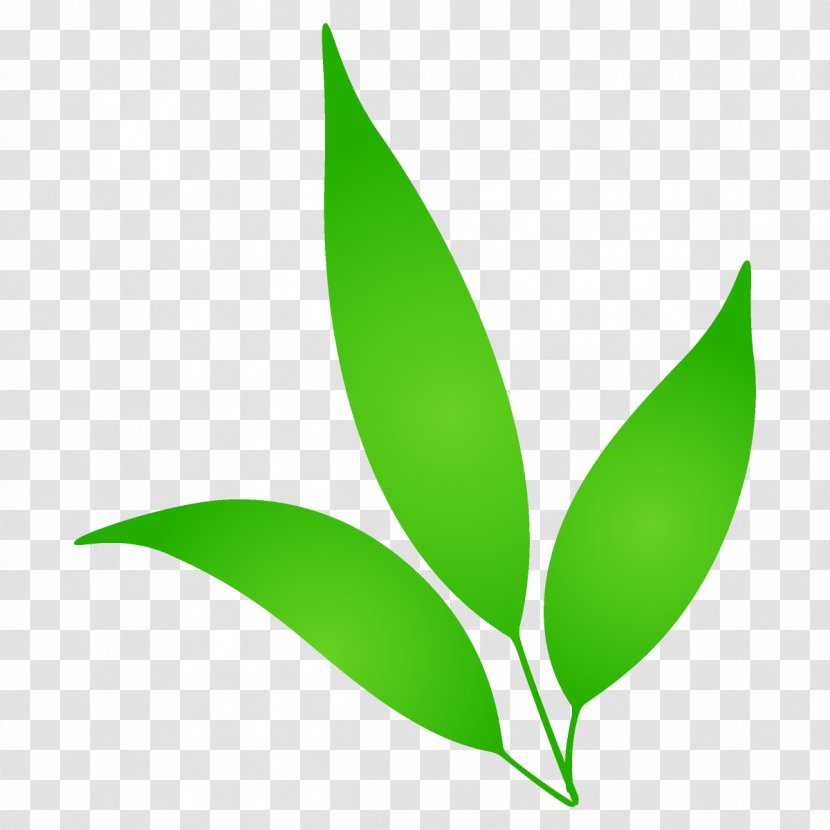 Leaf Green Plant Logo Flower Transparent PNG