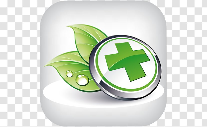 Kratom Green Tea Herb Health - Medicine Transparent PNG