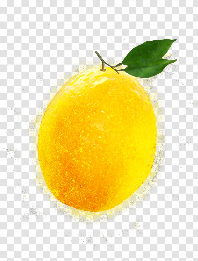 Lemon Citron Clementine Mandarin Orange Citrus Junos - Acid - Mango Pattern Transparent PNG