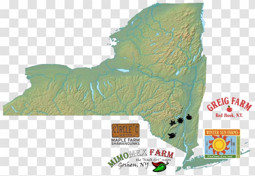 New York City Map Clip Art Vector Graphics Illustration Transparent PNG