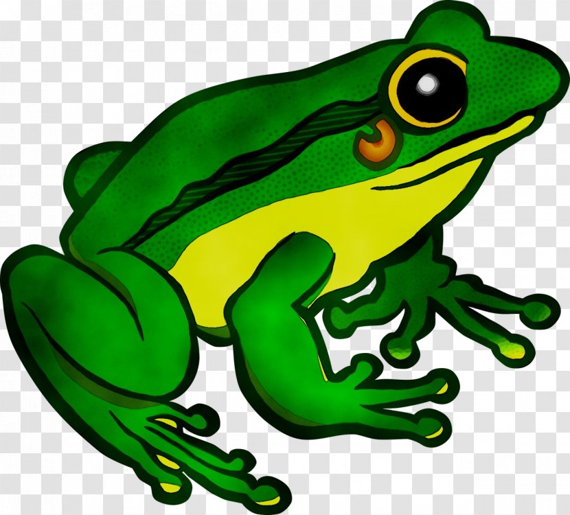 Flying Frog Image Toad Royalty-free - Hyla Transparent PNG