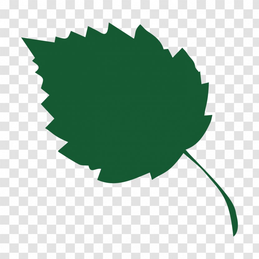 Leaf Tree Hazel Plant Stem Clip Art - Heart Of England Forest Transparent PNG