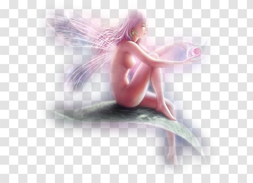 Fairy Desktop Wallpaper Lilac - Flower Transparent PNG