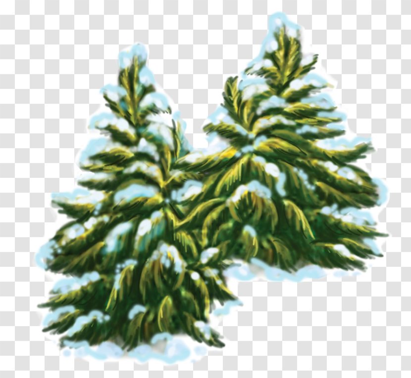 Spruce Pine Fir Clip Art - Snow Transparent PNG