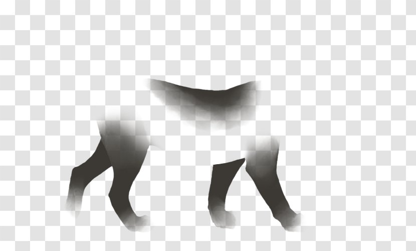 Canidae Dog Shoulder Desktop Wallpaper - Computer - Father Damien Day Transparent PNG