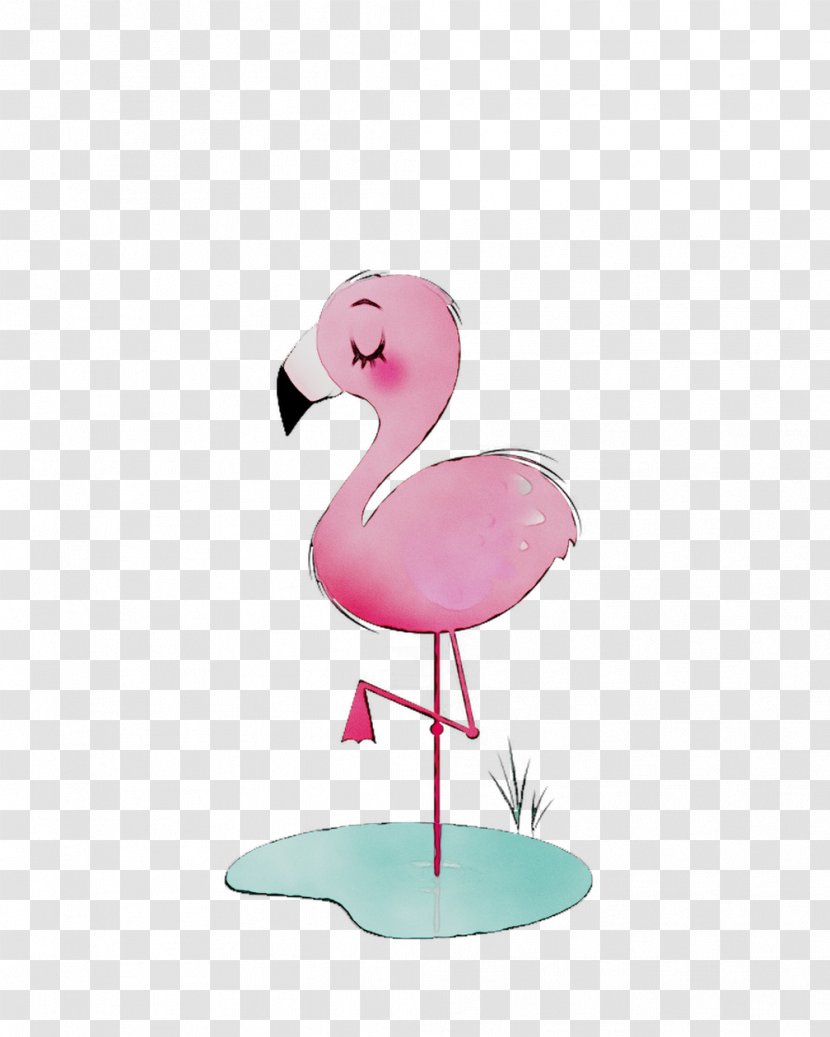 Hashtag Image Video Phoenicopterus - Beak - Pink Transparent PNG