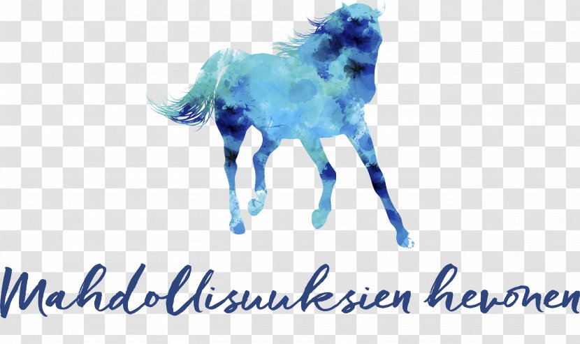 Finnish Horse Suomi Finland 100 Mustang Pony Stallion - Mane Transparent PNG