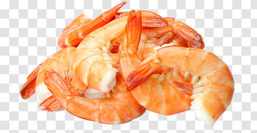 Caridea Scampi Prawns Seafood Shrimp - Bologna Sausage Transparent PNG