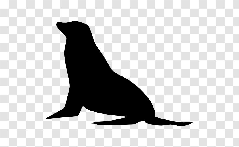 Earless Seal Sea Lion Mammal Shape Transparent PNG