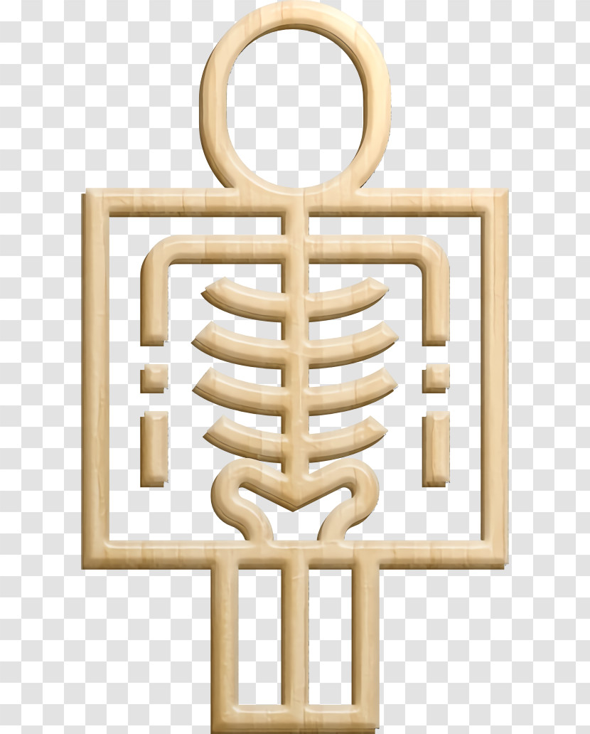 X-rays Icon Checkup Icon Medical Icon Transparent PNG