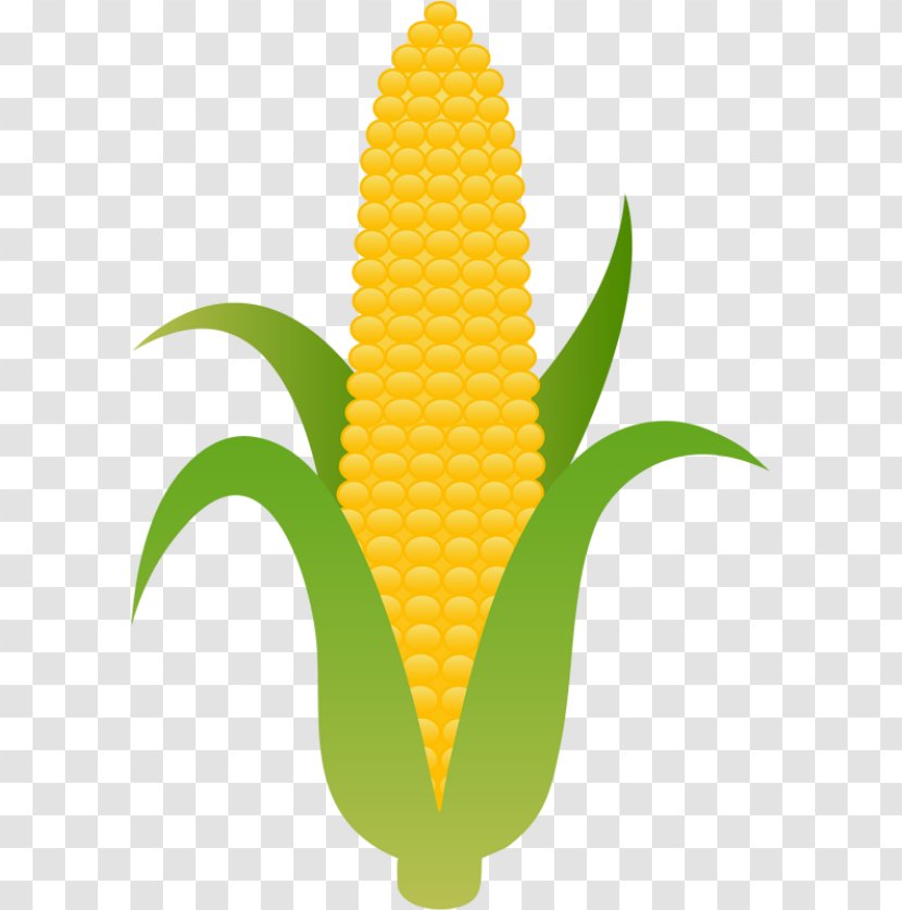 Corn On The Cob Candy Maize Clip Art - Plant Transparent PNG