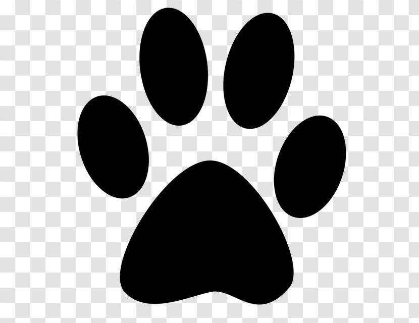Cat Paw Dog Kitten Claw - Pet Transparent PNG