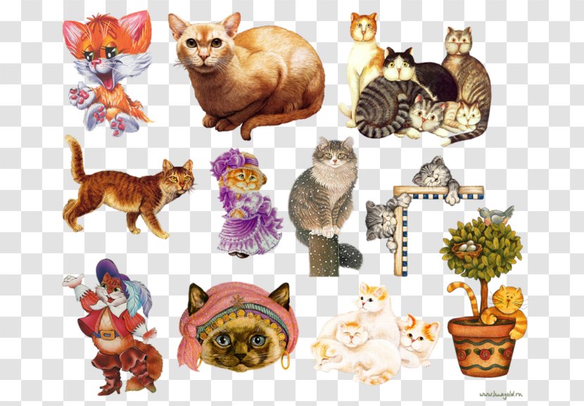 Whiskers Cat Kitten Clip Art - Wildlife Transparent PNG