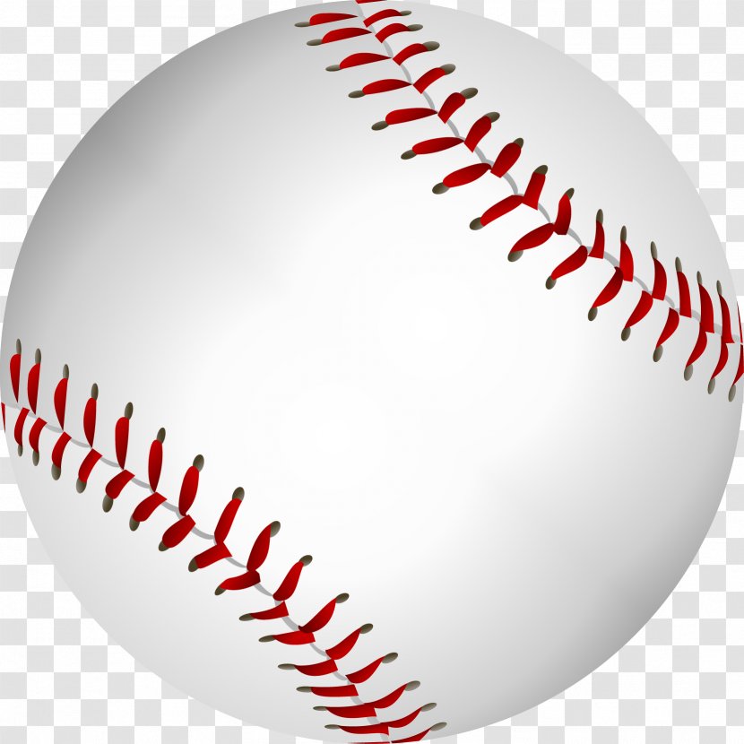 Sports Equipment Baseball Softball - Vector Transparent PNG