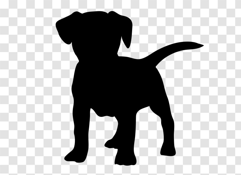 Jack Russell Terrier Puppy Cat Pet - Dog Like Mammal Transparent PNG