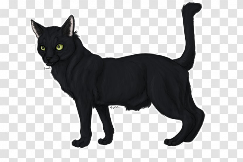 Manx Cat Korat Whiskers Domestic Short-haired Fur - Small To Medium Sized Cats - Smoothie Draw Transparent PNG