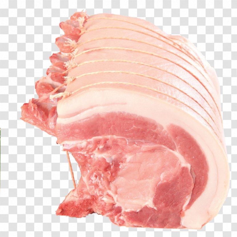 Domestic Pig Ham Spare Ribs Spanish Cuisine - Tree - Pork Transparent PNG