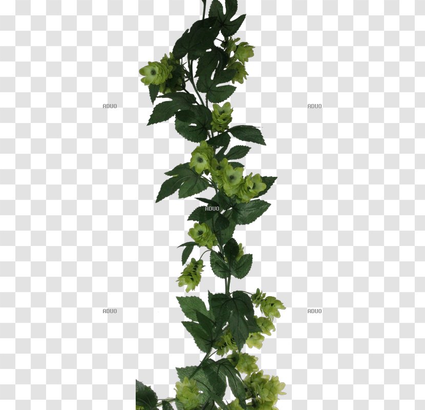 Leaf Herb Flowerpot Plant Stem Tree - Ivy Transparent PNG