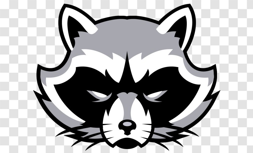 Frisco High School Raccoon National Secondary Centennial - Face - Rocket Transparent PNG