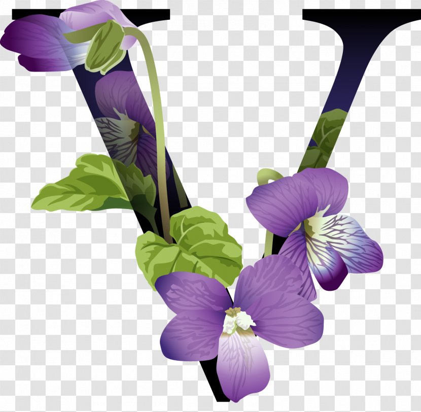 English Alphabet Letter V - Cut Flowers - Latin Transparent PNG