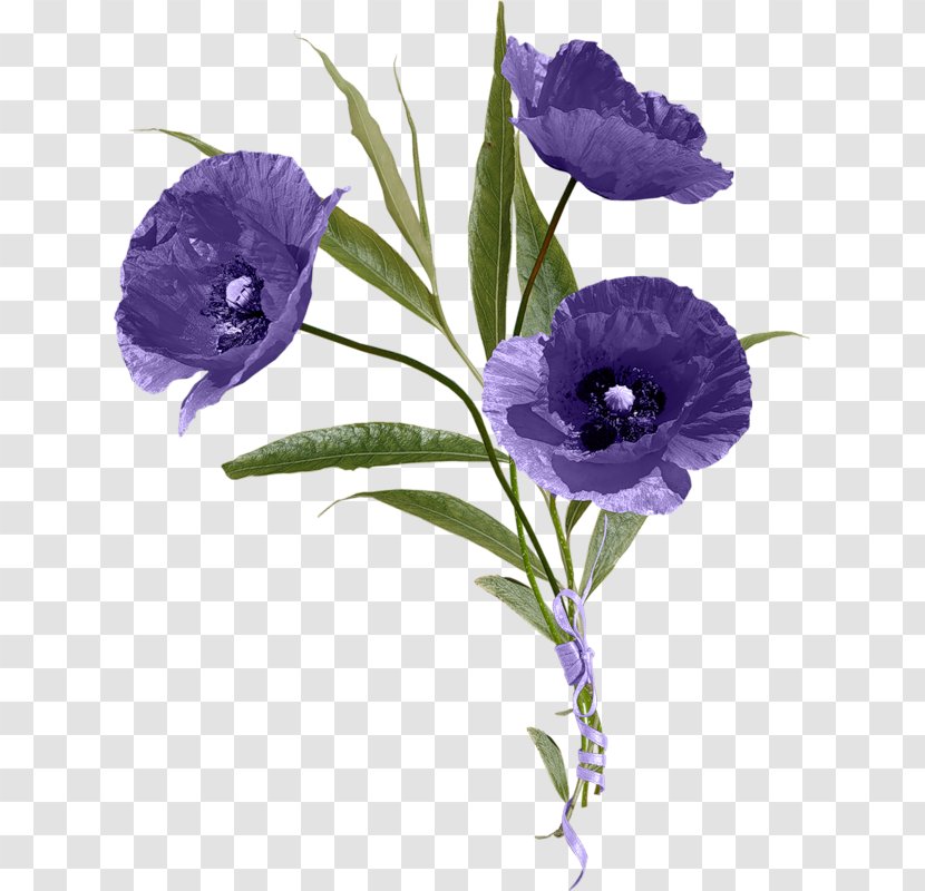 Flower Digital Image - Flowering Plant Transparent PNG