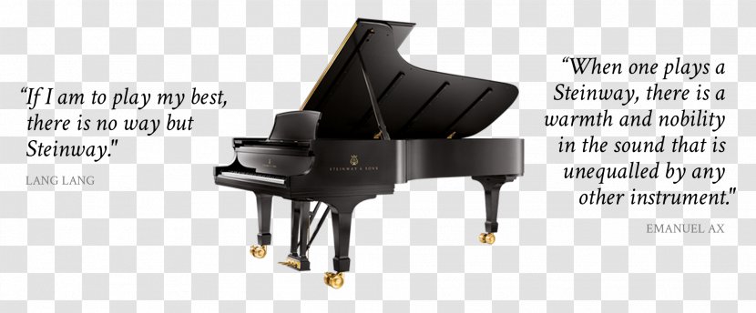 Steinway & Sons Field's Pianos Grand Piano Key - Cartoon Transparent PNG