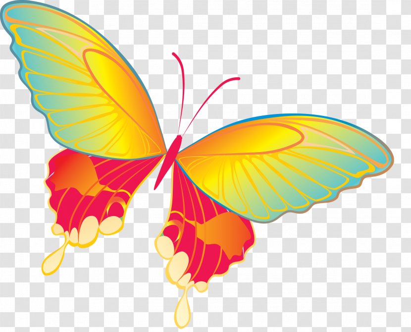 Butterfly Download Clip Art - Brush Footed - Red Transparent PNG