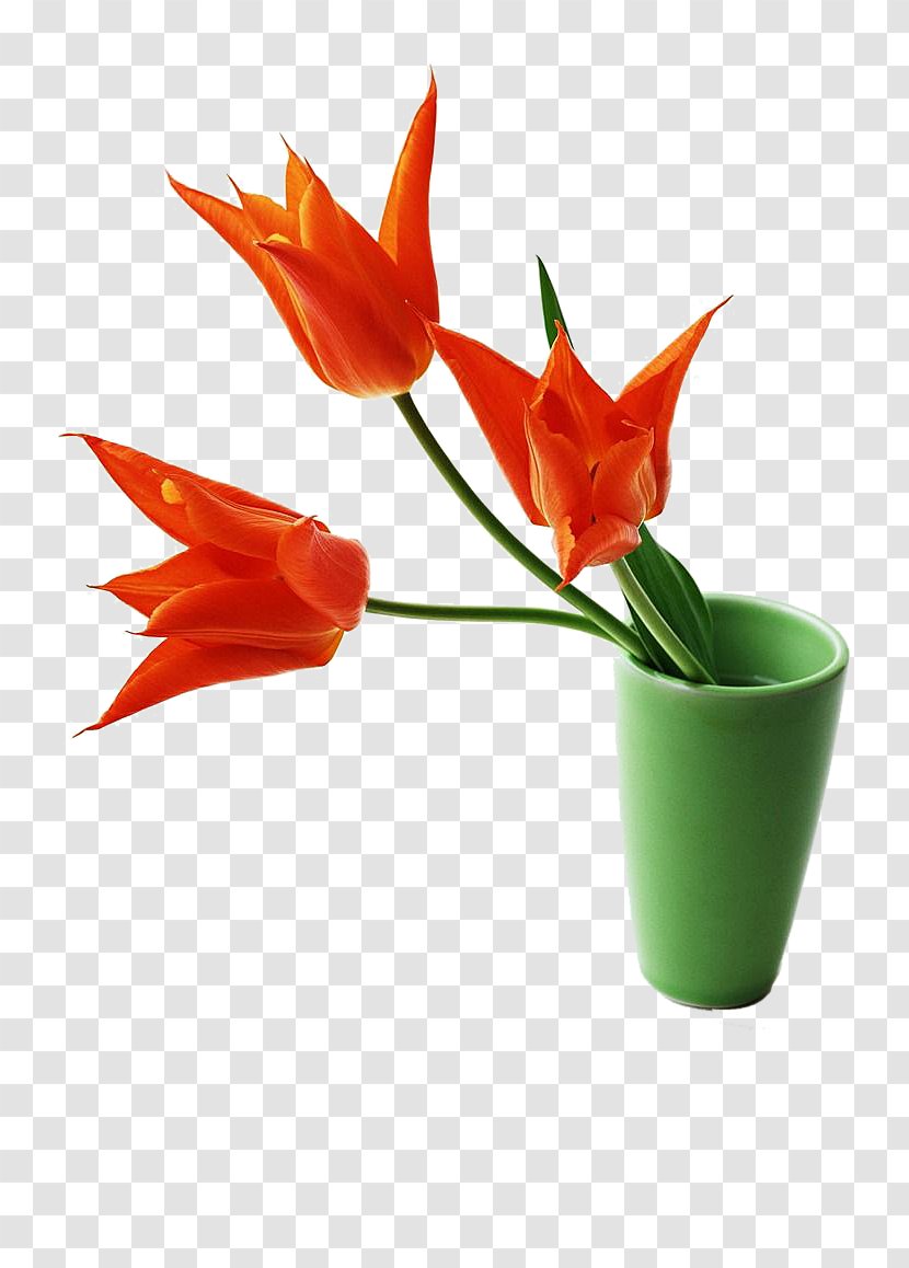 Vietnam Ngxe0y Nhxe0 Gixe1o Viu1ec7t Nam Teachers Day 20 November - Orange - Three Tulip Flower Arrangement Transparent PNG