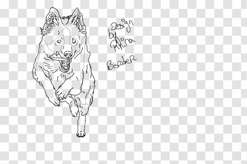 Whiskers Cat Paw Dog Sketch - Drawing Transparent PNG