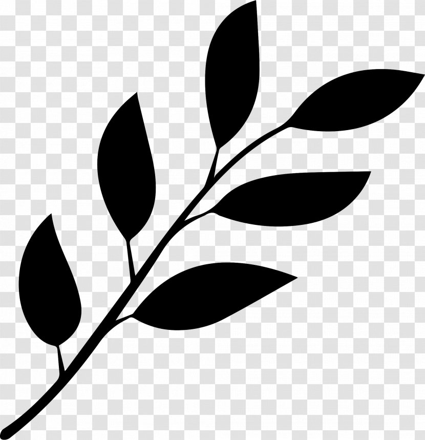 Leaf Clip Art - Flora - Green Wreath Transparent PNG