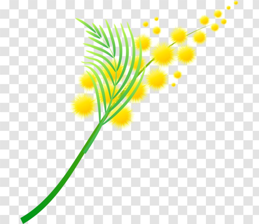 2014 Nissan LEAF Petal Email Blog Clip Art - Yellow - Mimosa Flower Transparent PNG