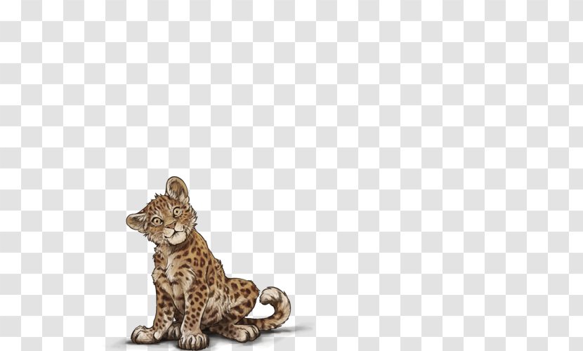 Leopard Big Cat Cheetah Lion - Small To Medium Sized Cats - Female Transparent PNG