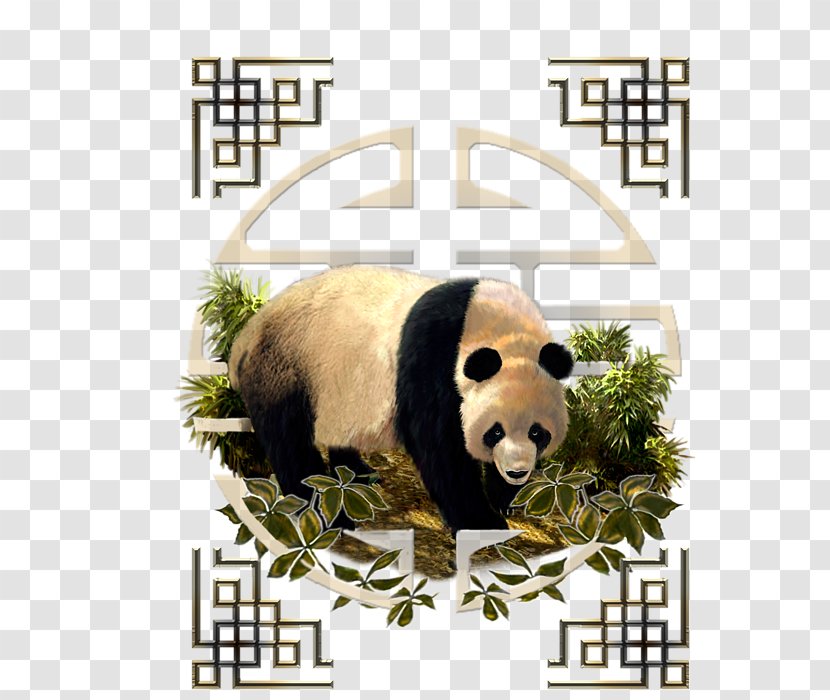 Giant Panda Bear Carnivora Mammal Animal - Great Wall Of China Transparent PNG
