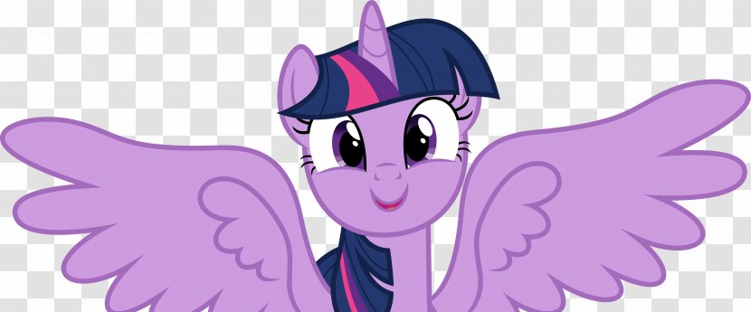 Twilight Sparkle Rainbow Dash Pinkie Pie Rarity Applejack - Frame Transparent PNG