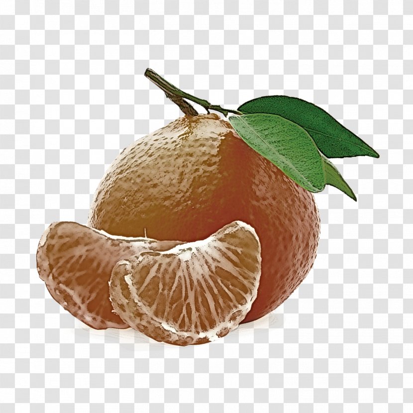 Mandarin Orange Fruit Citrus Clementine Tangerine - Tangelo Leaf Transparent PNG