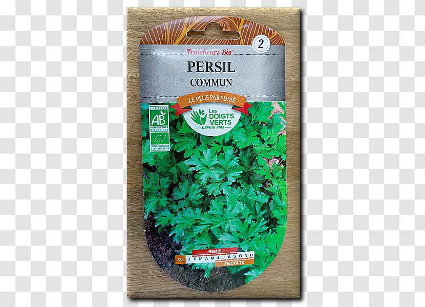 Italian Cuisine Herb Flat-leaved Parsley Vegetable Root - Food Transparent PNG