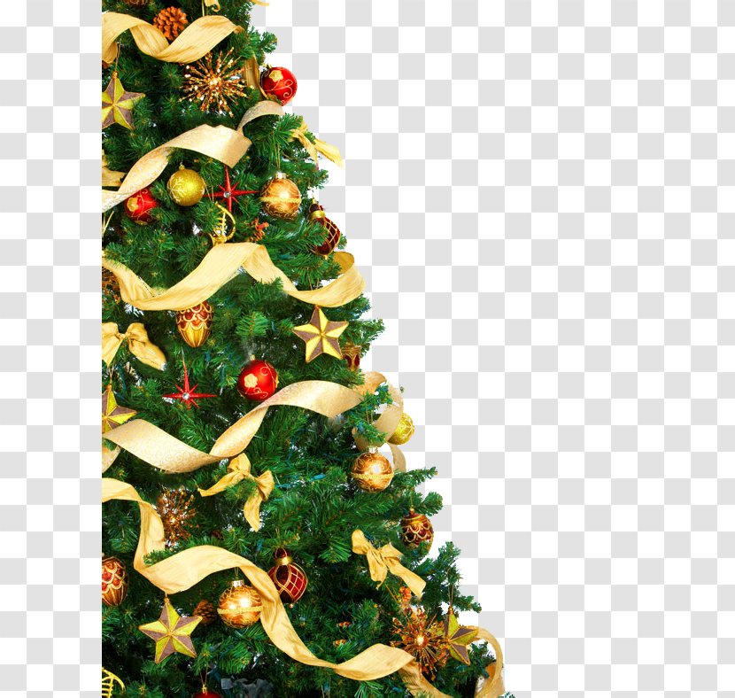 Christmas Tree Lights Stock Photography Clip Art - Elements Transparent PNG