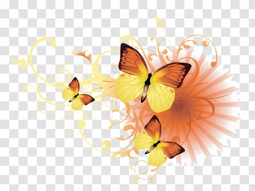 Butterfly - Orange - Membrane Winged Insect Transparent PNG