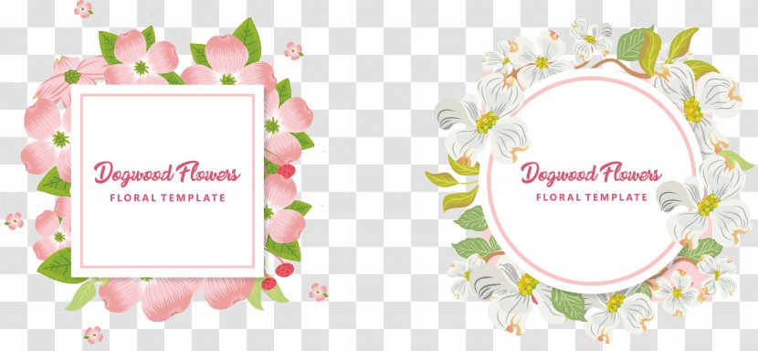 Flowering Dogwood Wedding Invitation Euclidean Vector - Petal - Flower Cards Transparent PNG