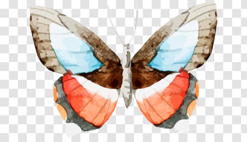 Vector Graphics Stock Photography Watercolor Painting Greeting & Note Cards Shutterstock - Brushfooted Butterfly - Hand Painted Transparent PNG