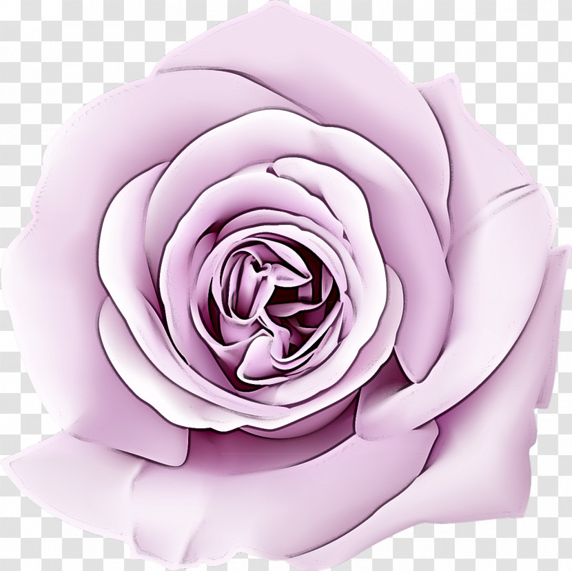 Garden Roses Transparent PNG